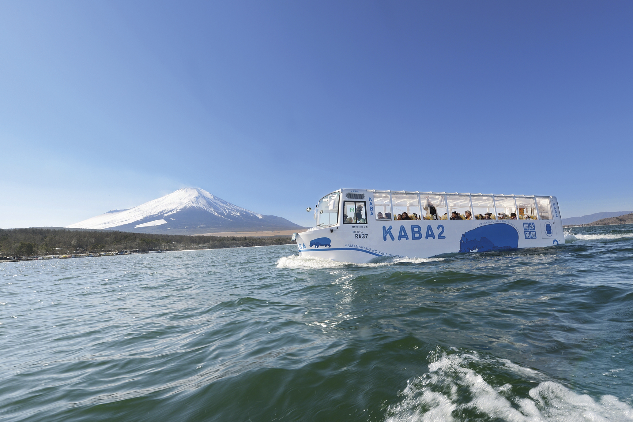 水陸両用バス 山中湖のカバ