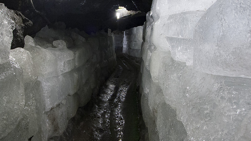 富岳風穴・鳴沢氷穴